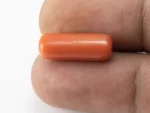 Red Coral (Moonga) 8.760 Carat / 9.626 Ratti - Size Reference