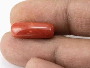 Red Coral (Moonga) 9.605 Carat / 10.55 Ratti - Size Reference