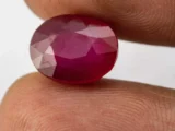 Back View: Authentic Ruby (Manek) 7.56 Carat / 8.31 Ratti - Back View