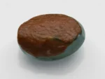 Turquoise Stone 13.32 Ratti - 12.12 Carat Firoza Back View