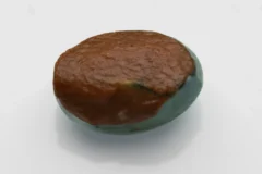 Turquoise Stone 13.32 Ratti - 12.12 Carat Firoza Back View