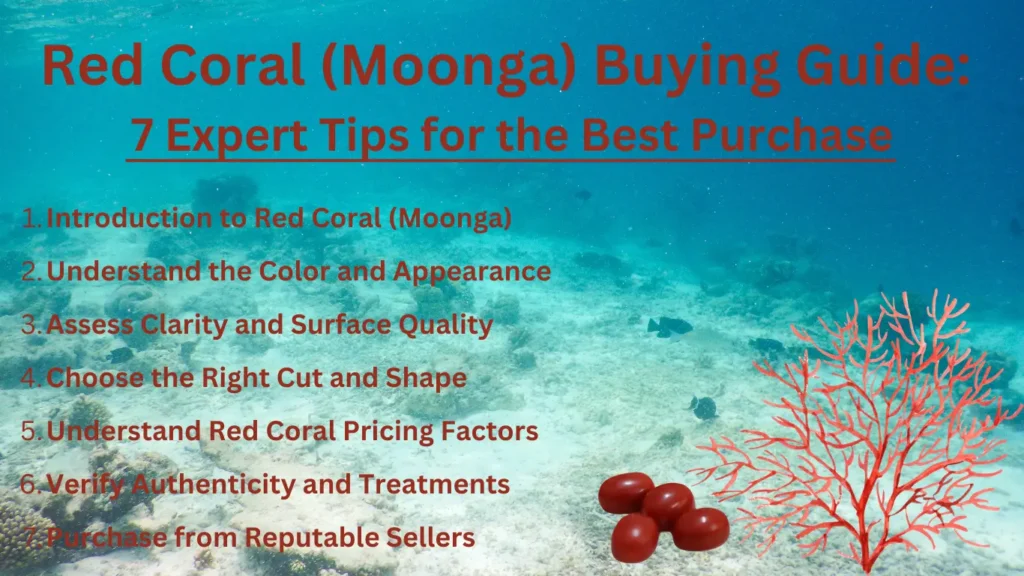 Red Coral (Moonga) Buying Guide: 7 Expert Tips For The Best Purchase Discover the ultimate Red Coral (Moonga) buying guide with 7 expert tips to help you make the best purchase.