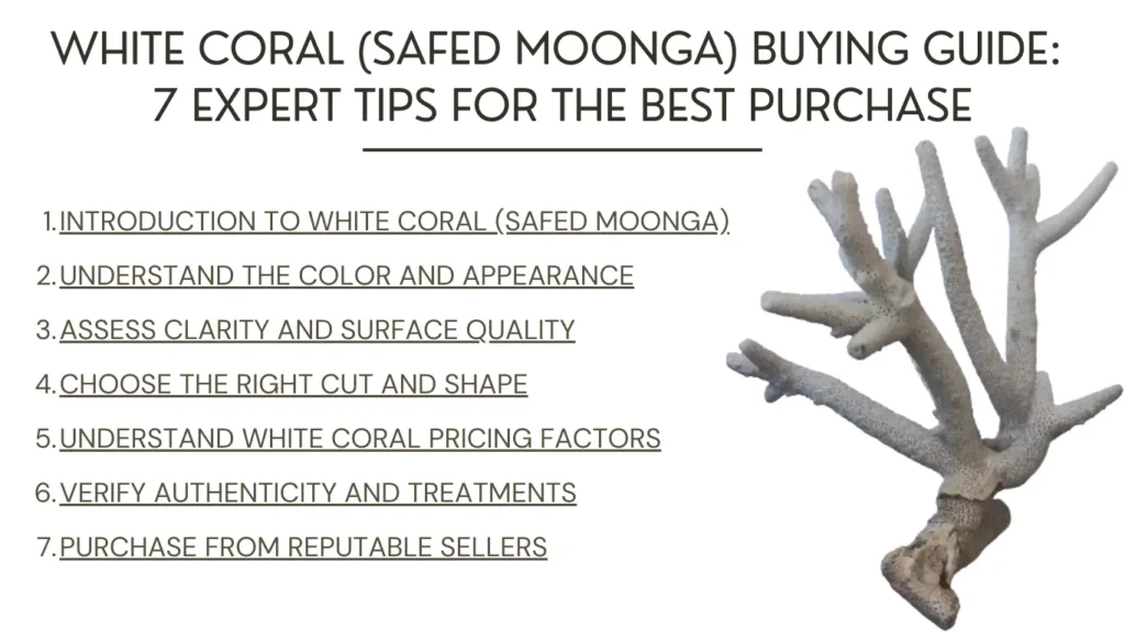 White Coral (Safed Moonga) Buying Guide: 7 Expert Tips For The Best Purchase Discover the ultimate white coral (safed moonga) buying guide with 7 expert tips to help you make the best purchase.