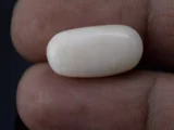 White Coral Stone 12.24 Ratti - 11.14 Carat Safed Moonga Size Reference