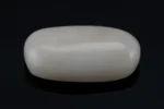 White Coral Stone 12.24 Ratti - 11.14 Carat Safed Moonga Front View