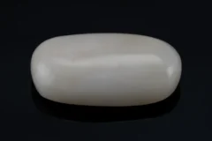 White Coral Stone 12.24 Ratti - 11.14 Carat Safed Moonga Front View