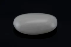 White Coral Stone 4.67 Ratti - 4.25 Carat Safed Moonga Front View