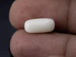 White Coral Stone 4.94 Ratti - 4.50 Carat Safed Moonga Size Reference