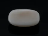White Coral Stone 5.08 Ratti - 4.62 Carat Safed Moonga Back View