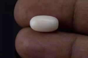 White Coral Stone 5.08 Ratti - 4.62 Carat Safed Moonga Size Reference