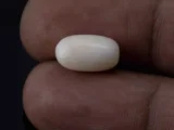 White Coral Stone 5.08 Ratti - 4.62 Carat Safed Moonga Size Reference
