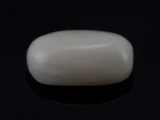 White Coral Stone 5.08 Ratti - 4.62 Carat Safed Moonga Front View