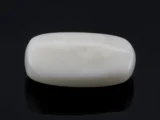 White Coral (Safed Moonga) 4.96 Carat - 5.45 Ratti Back
