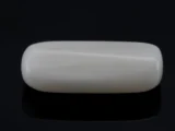 White Coral Stone 5.66 Ratti - 5.15 Carat Safed Moonga Back View