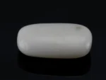 White Coral Stone 7.17 Ratti - 6.53 Carat Safed Moonga Back View
