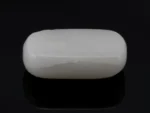 White Coral Stone 10.61 Ratti - 9.66 Carat Safed Moonga Back View