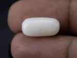 White Coral Stone 10.61 Ratti - 9.66 Carat Safed Moonga Size Reference