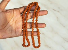 Natural Rudraksha Mala beads close-up showing clear Mukhi lines and texture