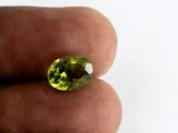 Natural Peridot Stone 3.00 Carat (3.30 Ratti) - In Palm