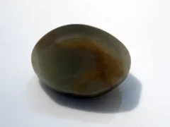 Natural Quartz Cat’s Eye Gemstone (Lahsuniya Ratna) – 7.60 Carat (8.35 Ratti) - back view