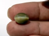 Natural Quartz Cat’s Eye Gemstone (Lahsuniya Ratna) – 7.60 Carat (8.35 Ratti) - in palm