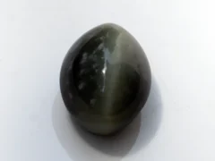 Natural Quartz Cat’s Eye Gemstone (Lahsuniya Ratna) – 8.65 Carat (9.50 Ratti) - front view