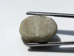 Natural Quartz Cat’s Eye Gemstone (Lahsuniya Ratna) – 9.40 Carat (10.33 Ratti) - back view