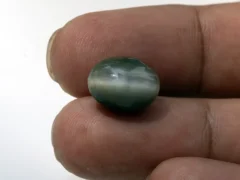 Natural Quartz Cat’s Eye Gemstone (Lahsuniya Ratna) – 9.50 Carat (10.44 Ratti) - in palm