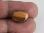 Natural Tiger Eye Stone 9.10 Carat (10.00 Ratti) – Original & Certified Quality - In Hand