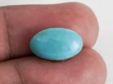Original American Firoza Turquoise Stone 8.30 Carat (9.12 Ratti) – In hand