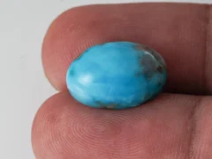 Original Irani Firoza Stone 11.66 Carat (12.81 Ratti) – In hand