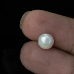 Cultured Pearl Stone (Moti Ratna) 3.40 Carat (3.74 Ratti) - In palm