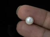 Cultured Pearl Stone (Moti Ratna) 3.40 Carat (3.74 Ratti) - In palm