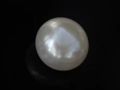 Cultured Pearl Stone (Moti Ratna) 3.43 Carat (3.77 Ratti) - Top view