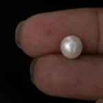 Cultured Pearl Stone (Moti Ratna) 3.44 Carat (3.78 Ratti) - In palm