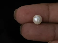 Cultured Pearl Stone (Moti Ratna) 3.44 Carat (3.78 Ratti) - In palm