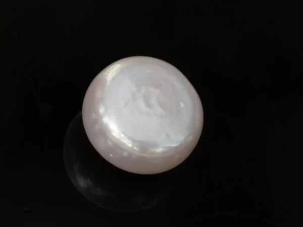 Cultured Pearl Stone (Moti Ratna) 3.58 Carat (3.93 Ratti) - Back view