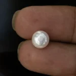 Cultured Pearl Stone (Moti Ratna) 3.58 Carat (3.93 Ratti) - In palm
