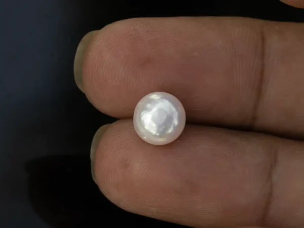 Cultured Pearl Stone (Moti Ratna) 3.58 Carat (3.93 Ratti) - In palm