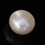 ultured Pearl Stone (Moti Ratna) 3.60 Carat (3.96 Ratti) - Back view