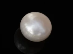 ultured Pearl Stone (Moti Ratna) 3.60 Carat (3.96 Ratti) - Back view