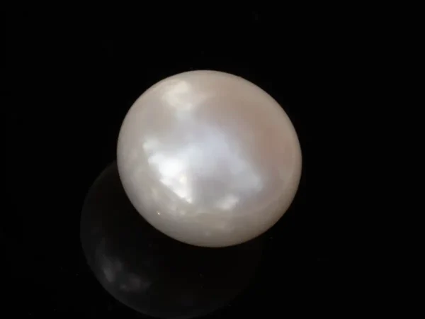 ultured Pearl Stone (Moti Ratna) 3.60 Carat (3.96 Ratti) - Back view