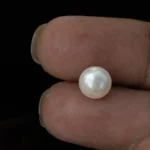 Cultured Pearl Stone (Moti Ratna) 3.60 Carat (3.96 Ratti) - In palm