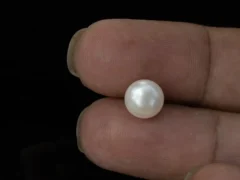 Cultured Pearl Stone (Moti Ratna) 3.60 Carat (3.96 Ratti) - In palm