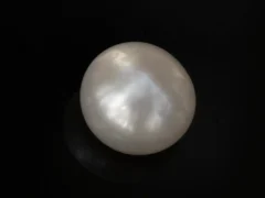 Cultured Pearl Stone (Moti Ratna) 3.72 Carat (4.09 Ratti) - Top view