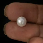 Cultured Pearl Stone (Moti Ratna) 3.72 Carat (4.09 Ratti) - In palm