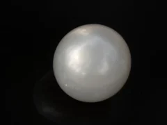 Cultured Pearl Stone (Moti Ratna) 3.84 Carat (4.22 Ratti) - Back view