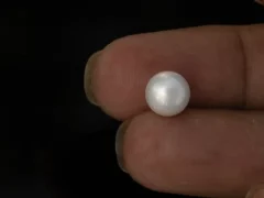 Cultured Pearl Stone (Moti Ratna) 3.84 Carat (4.22 Ratti) - In palm