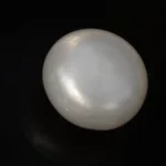 Cultured Pearl Stone (Moti Ratna) 3.90 Carat (4.28 Ratti) - Back view