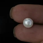 Cultured Pearl Stone (Moti Ratna) 3.90 Carat (4.28 Ratti) - In palm